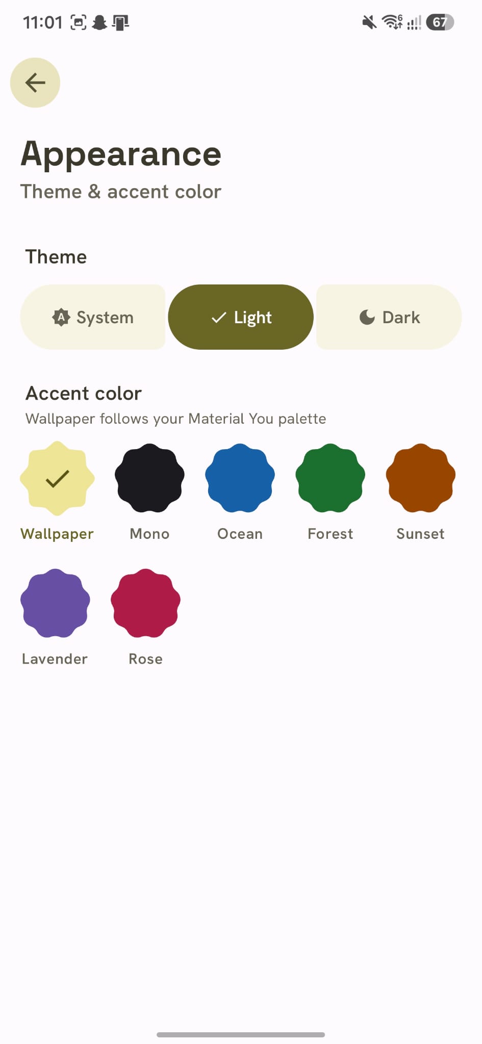 EchoFlow appearance settings with theme and accent color choices