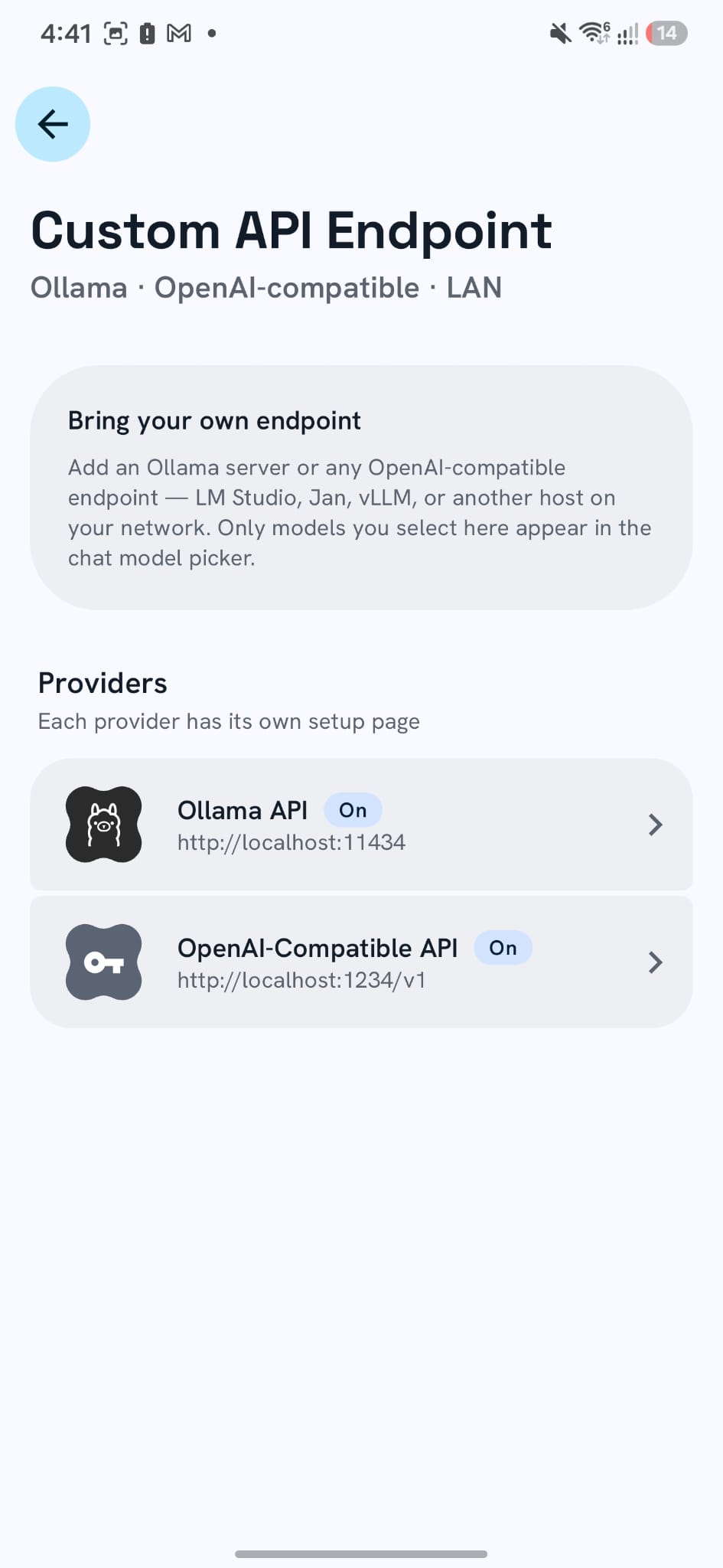 EchoFlow custom API endpoint settings with Ollama and OpenAI-compatible providers